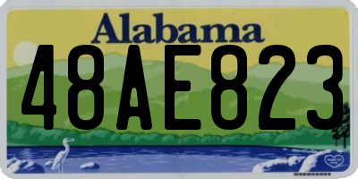 AL license plate 48AE823