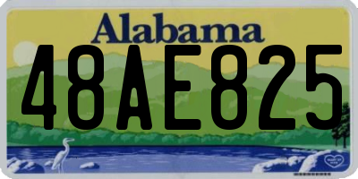 AL license plate 48AE825