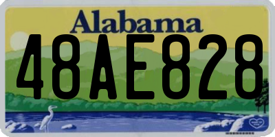 AL license plate 48AE828