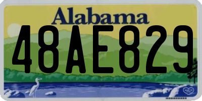 AL license plate 48AE829