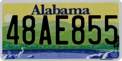 AL license plate 48AE855