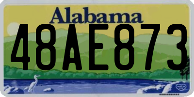 AL license plate 48AE873