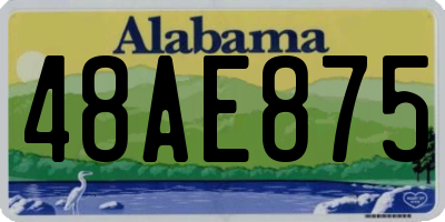 AL license plate 48AE875