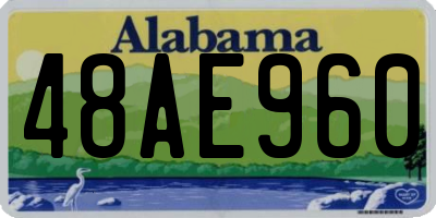 AL license plate 48AE960