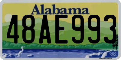 AL license plate 48AE993