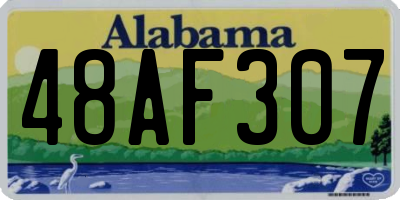 AL license plate 48AF307