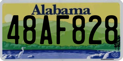AL license plate 48AF828