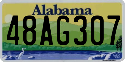 AL license plate 48AG307
