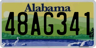 AL license plate 48AG341