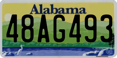 AL license plate 48AG493
