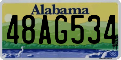 AL license plate 48AG534