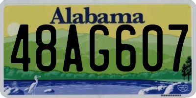 AL license plate 48AG607