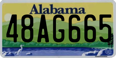 AL license plate 48AG665