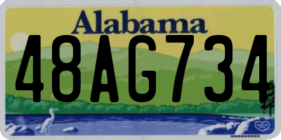 AL license plate 48AG734