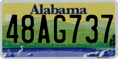 AL license plate 48AG737
