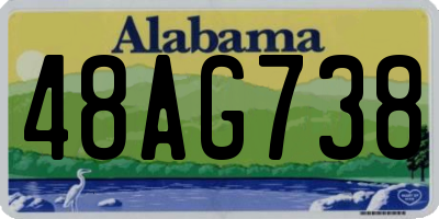 AL license plate 48AG738
