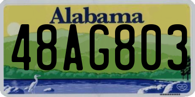 AL license plate 48AG803