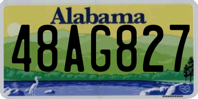 AL license plate 48AG827