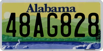 AL license plate 48AG828