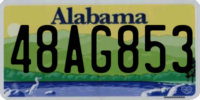 AL license plate 48AG853