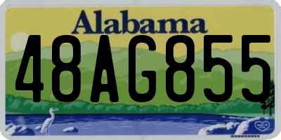 AL license plate 48AG855