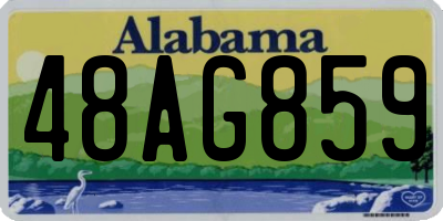 AL license plate 48AG859