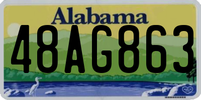 AL license plate 48AG863