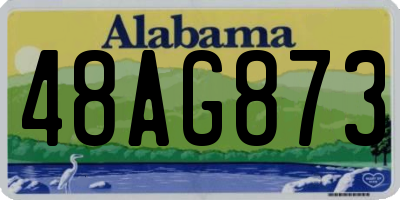 AL license plate 48AG873