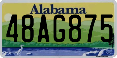 AL license plate 48AG875