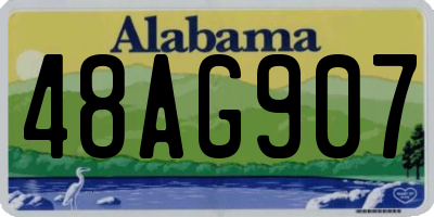 AL license plate 48AG907