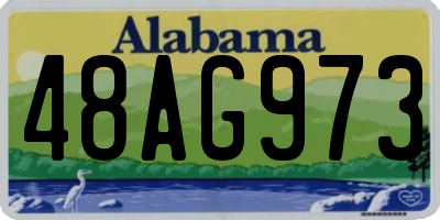 AL license plate 48AG973