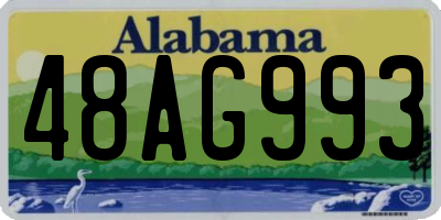 AL license plate 48AG993