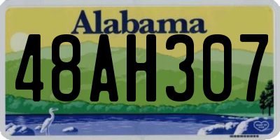 AL license plate 48AH307