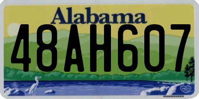 AL license plate 48AH607