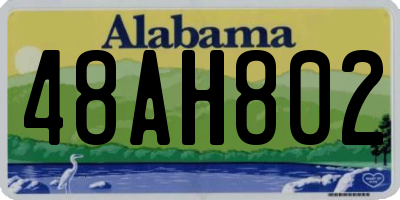 AL license plate 48AH802