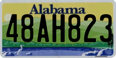 AL license plate 48AH823
