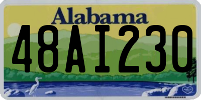 AL license plate 48AI230