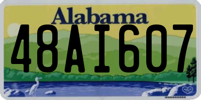 AL license plate 48AI607
