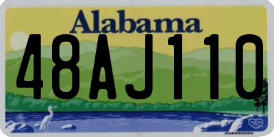 AL license plate 48AJ110