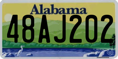AL license plate 48AJ202