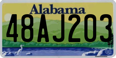 AL license plate 48AJ203