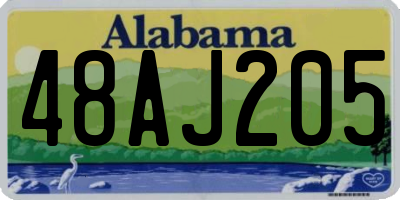 AL license plate 48AJ205