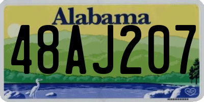 AL license plate 48AJ207