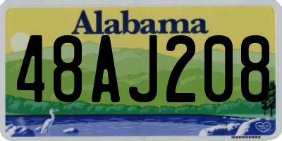 AL license plate 48AJ208