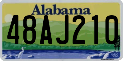 AL license plate 48AJ210