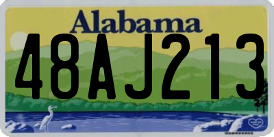 AL license plate 48AJ213