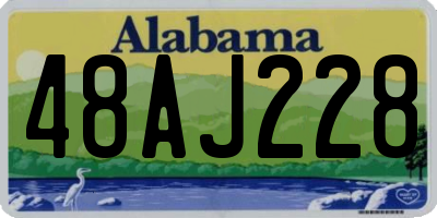 AL license plate 48AJ228