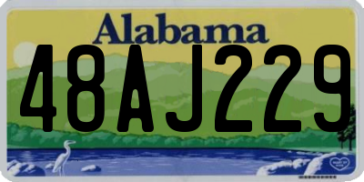AL license plate 48AJ229