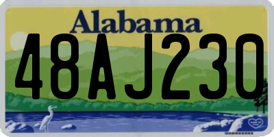 AL license plate 48AJ230