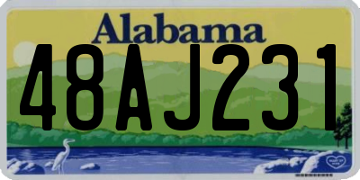 AL license plate 48AJ231